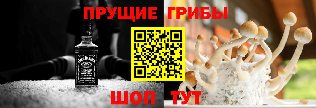 Псилоцибиновые грибы мицелий Искитим